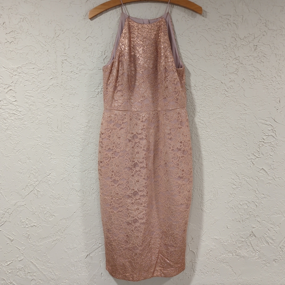 Adrianna Pappel Elegant Bluse Pink Lace Dress w Rose Gold Shimmer - Women's 6